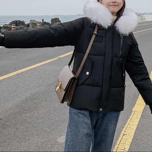 New Autumn Winter Coat Women's Top Down Cotton-padded Jacket - Nordic Vinterstil