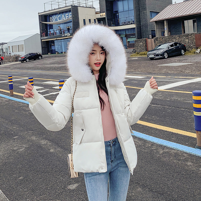 New Autumn Winter Coat Women's Top Down Cotton-padded Jacket - Nordic Vinterstil