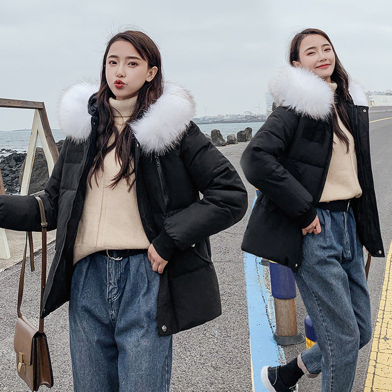 New Autumn Winter Coat Women's Top Down Cotton-padded Jacket - Nordic Vinterstil