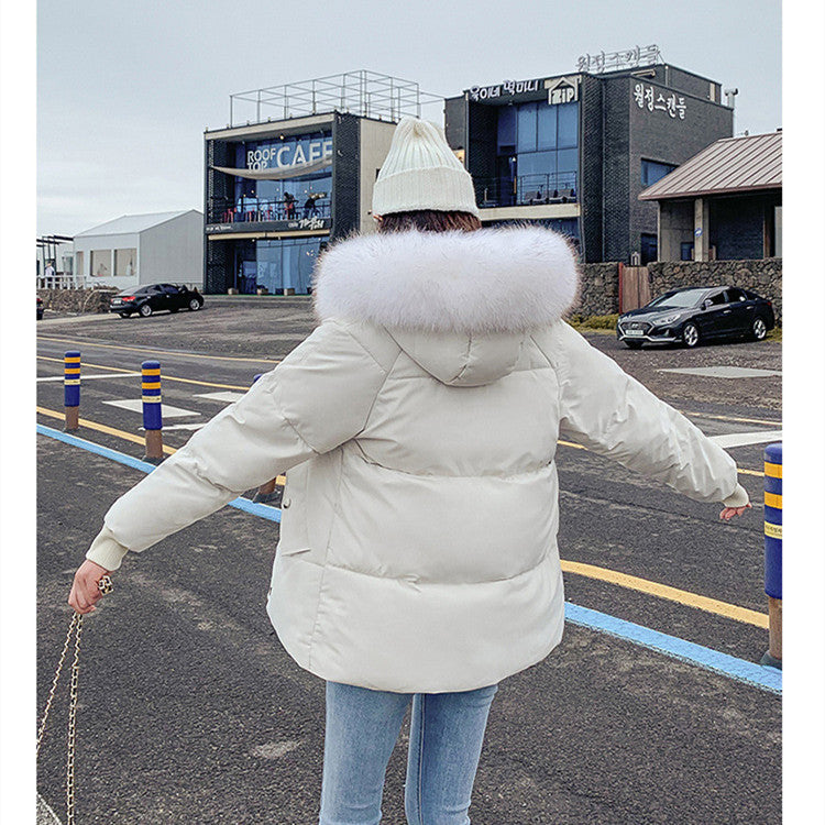 New Autumn Winter Coat Women's Top Down Cotton-padded Jacket - Nordic Vinterstil