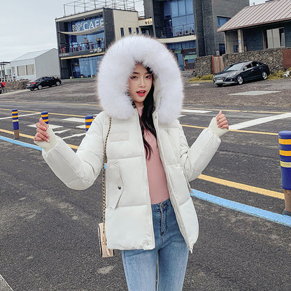 New Autumn Winter Coat Women's Top Down Cotton-padded Jacket - Nordic Vinterstil